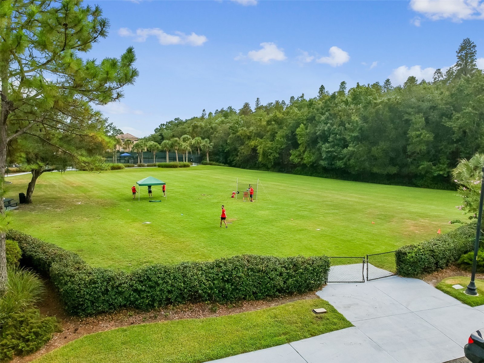 20133 Heron Crossing Drive Tampa FL 33647 TB8503823 image86