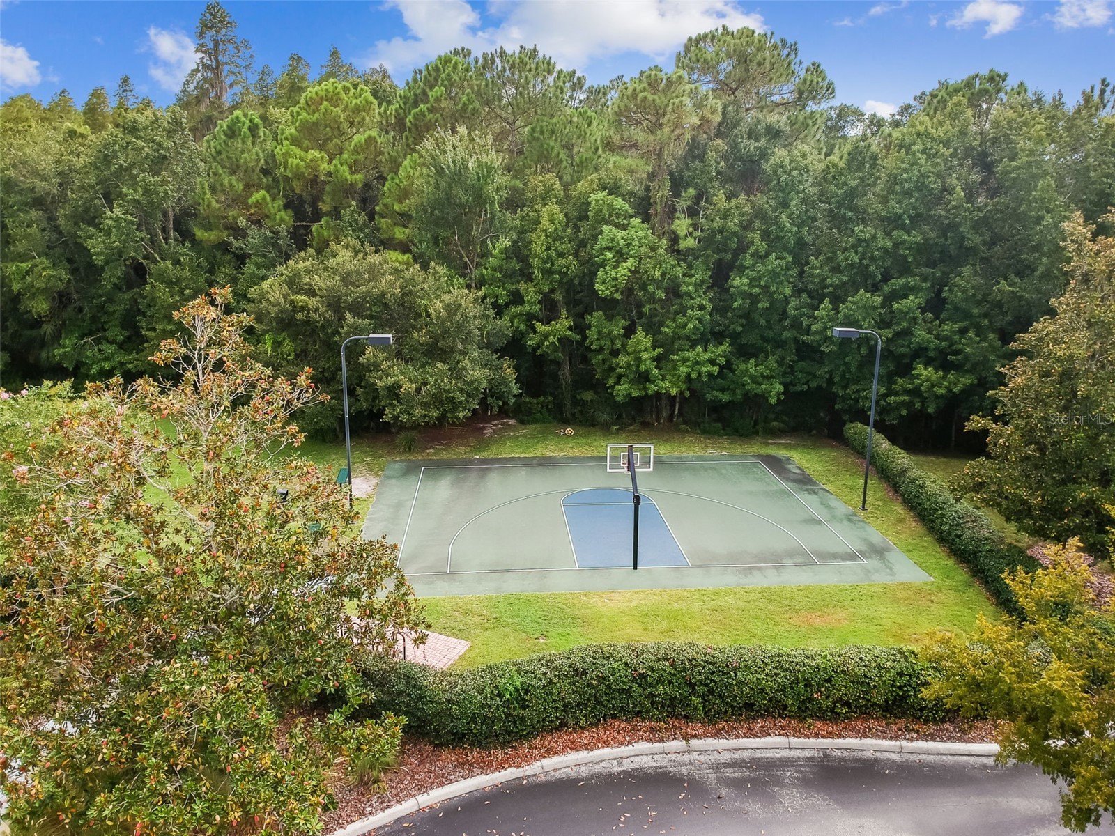 20133 Heron Crossing Drive Tampa FL 33647 TB8503823 image96