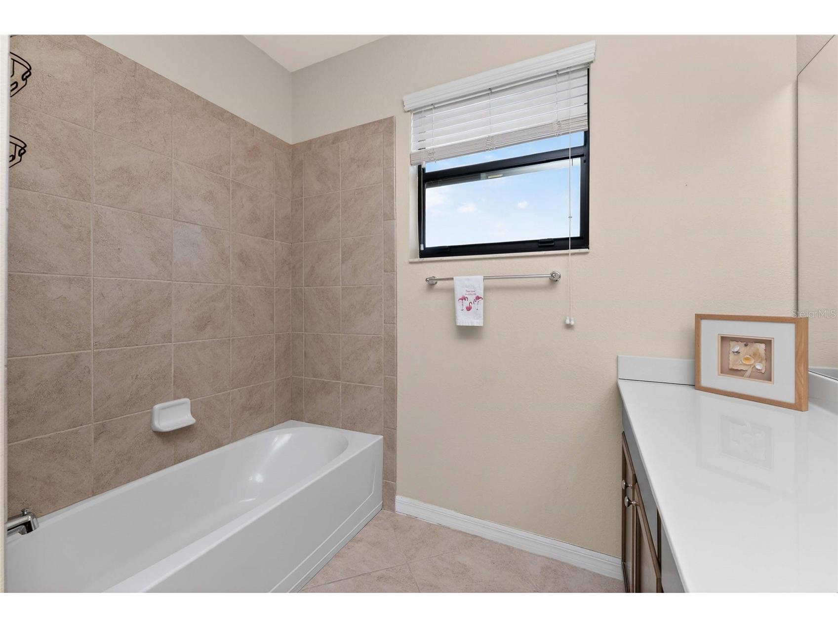 20133 Lagente Circle Venice FL 34293 N6144181 image26