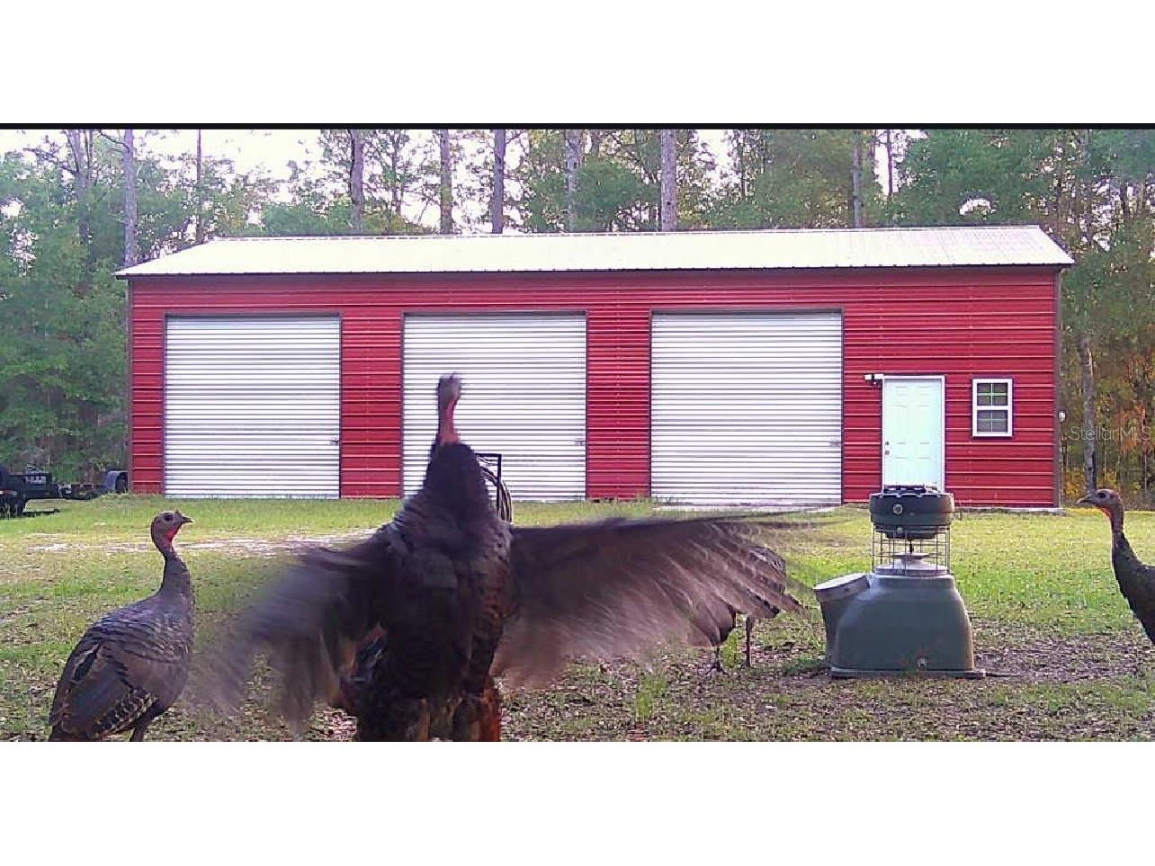 20135 SW 69th Place Dunnellon FL 34431 W7879259 image10