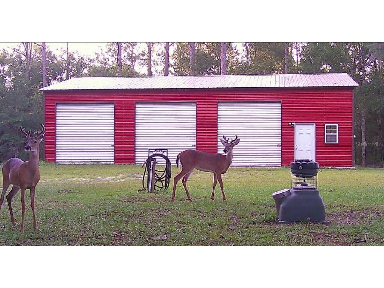 20135 SW 69th Place Dunnellon FL 34431 W7879259 image11