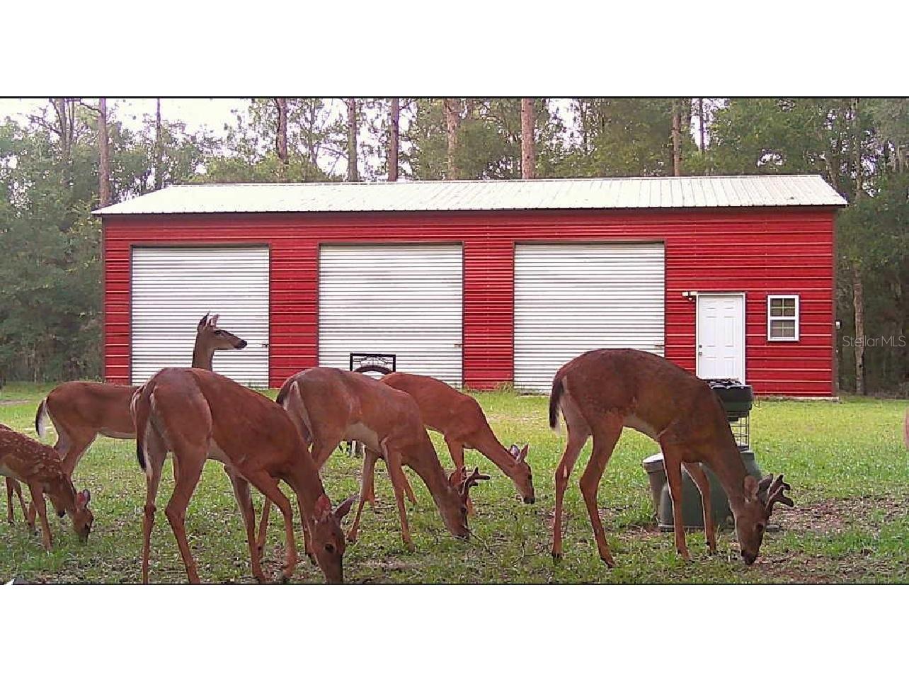 20135 SW 69th Place Dunnellon FL 34431 W7879259 image2