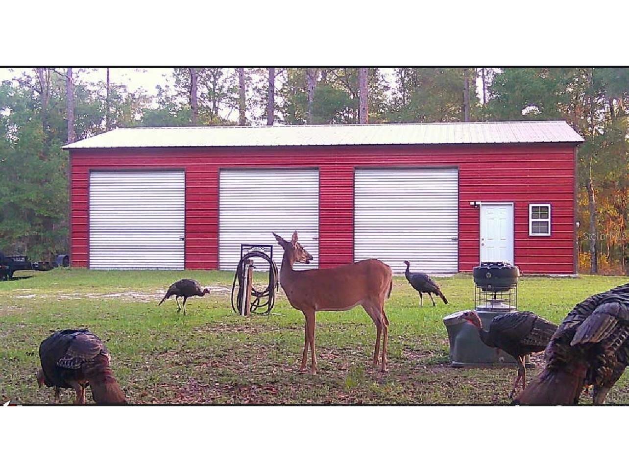 20135 SW 69th Place Dunnellon FL 34431 W7879259 image3