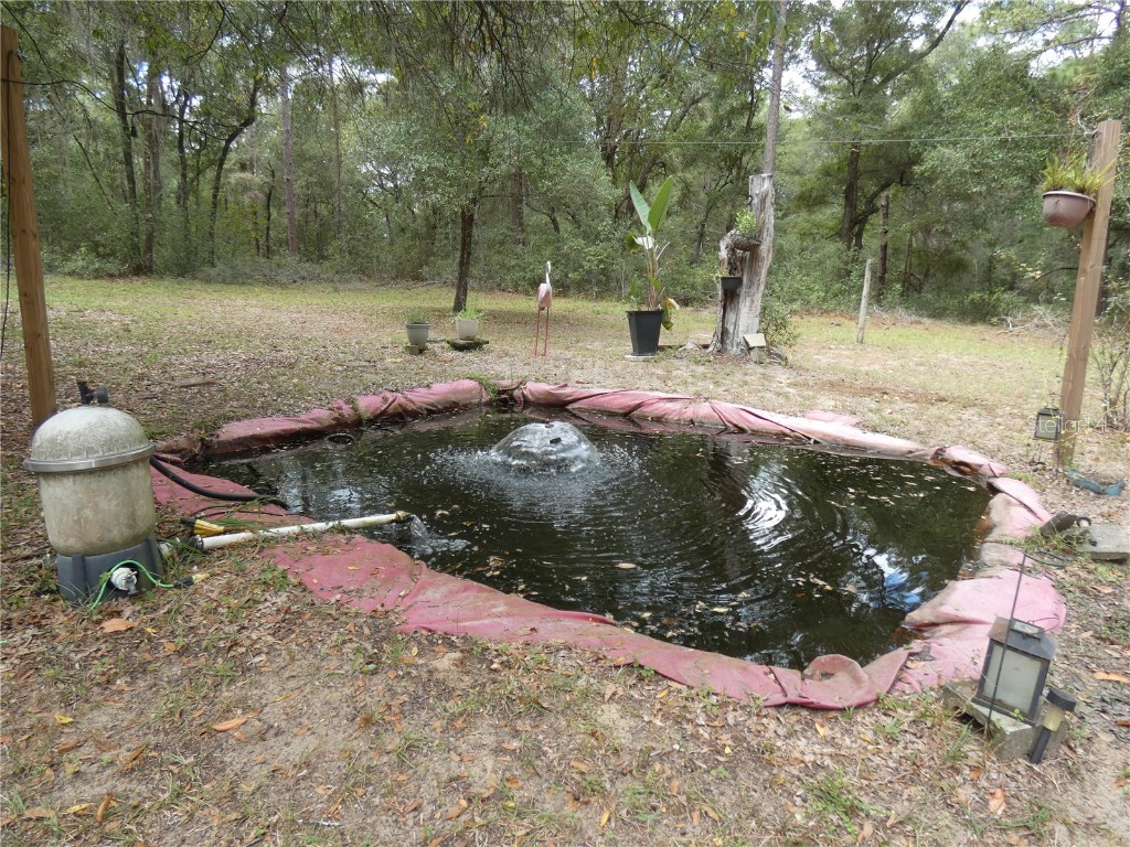 20135 SW 69th Place Dunnellon FL 34431 W7879259 image43