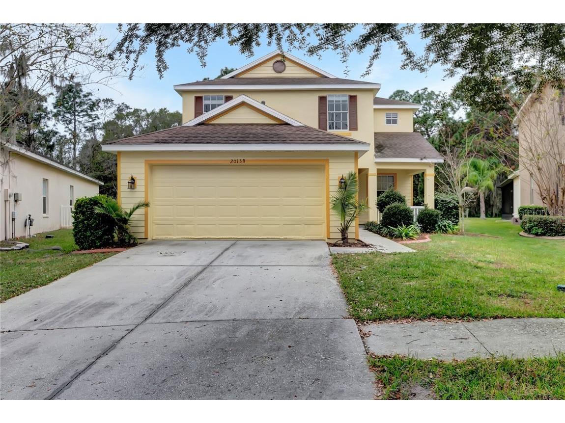 20139 Bay Cedar Avenue Tampa FL 33647 T3422421 image1