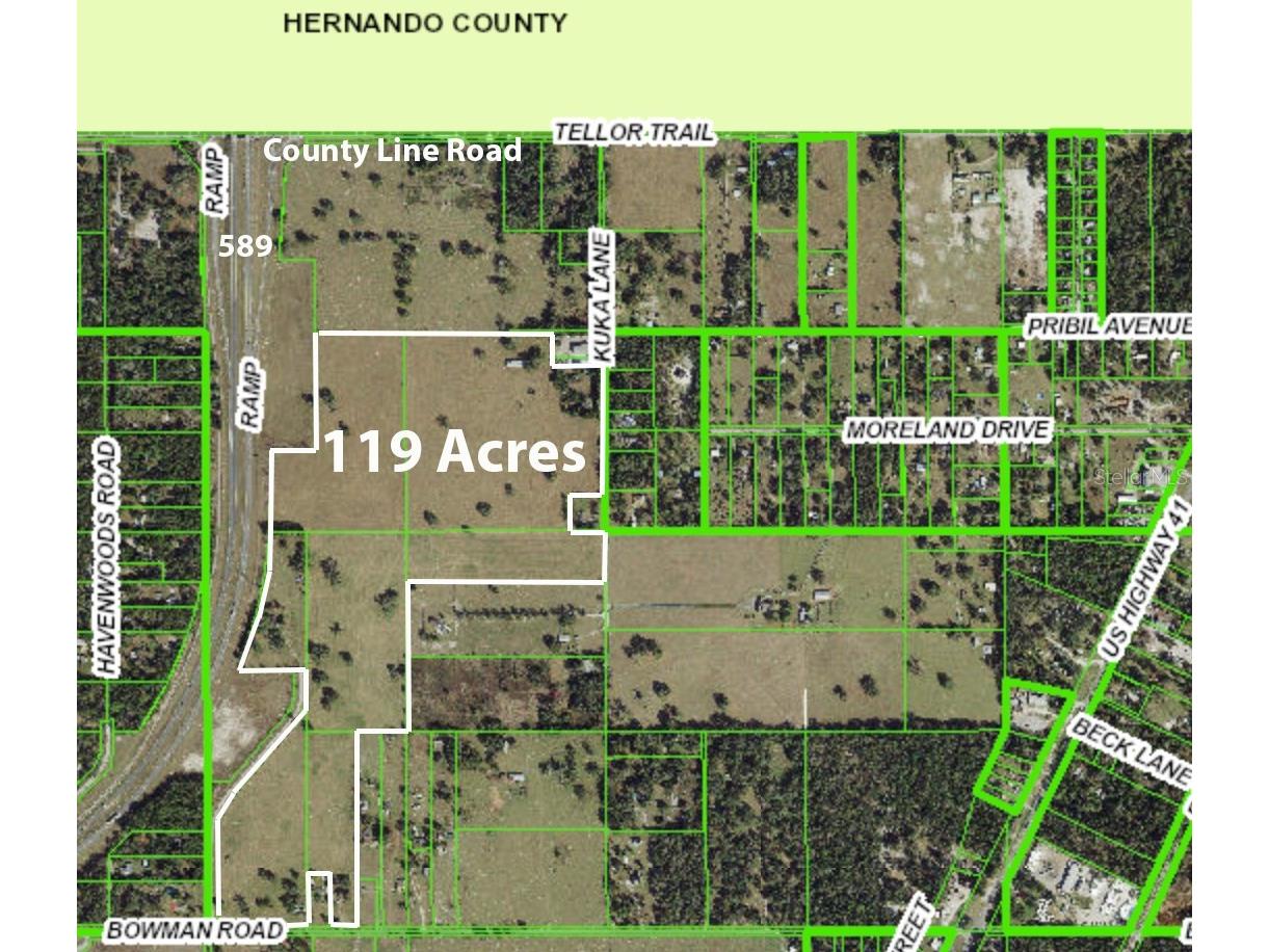 20139 Bowman Road Spring Hill FL 34610 W7875851 image1