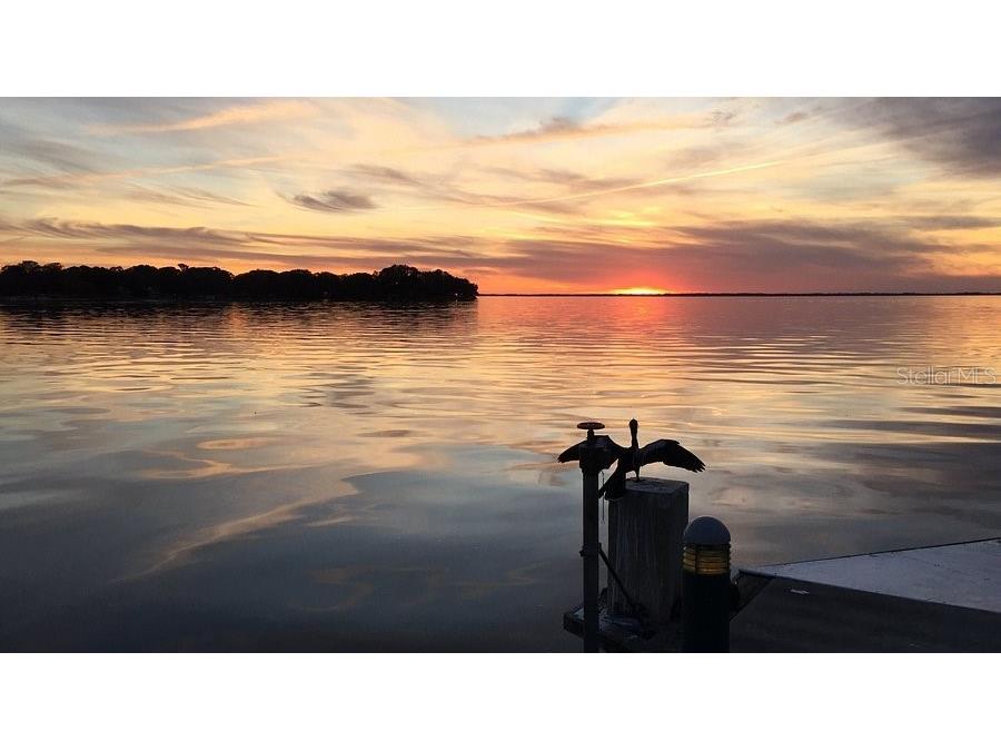 2014 Bates Avenue Eustis FL 32726 S5143980 image37