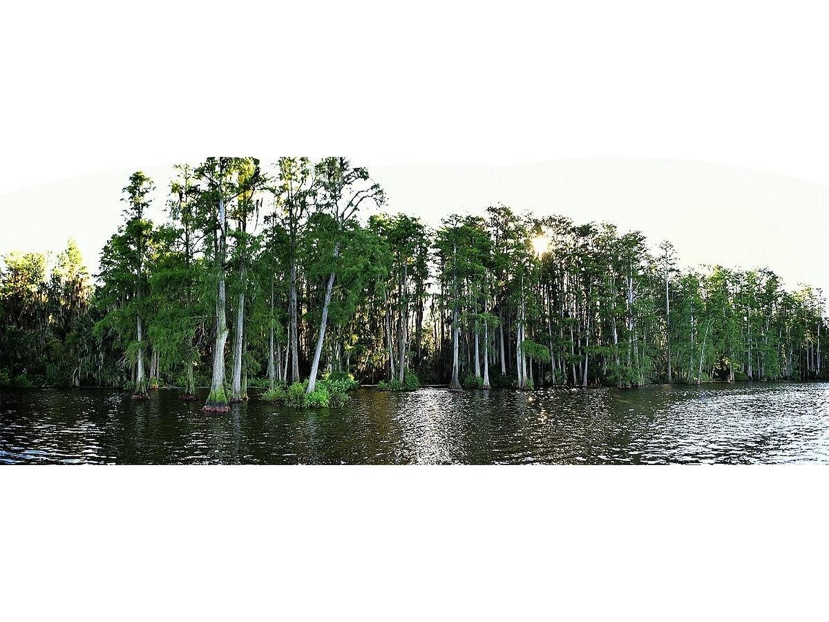 2014 Bates Avenue Eustis FL 32726 S5143980 image38