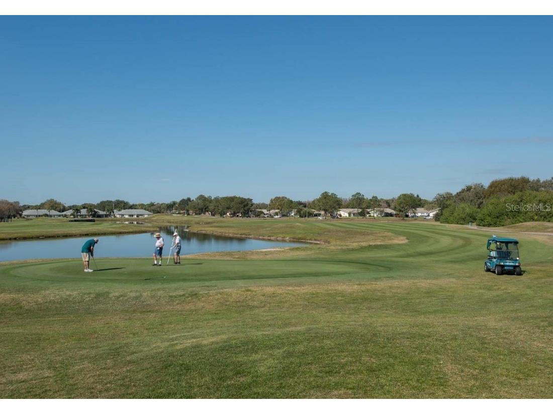 2014 Hampstead Circle Sun City Center FL 33573 TB8438221 image41