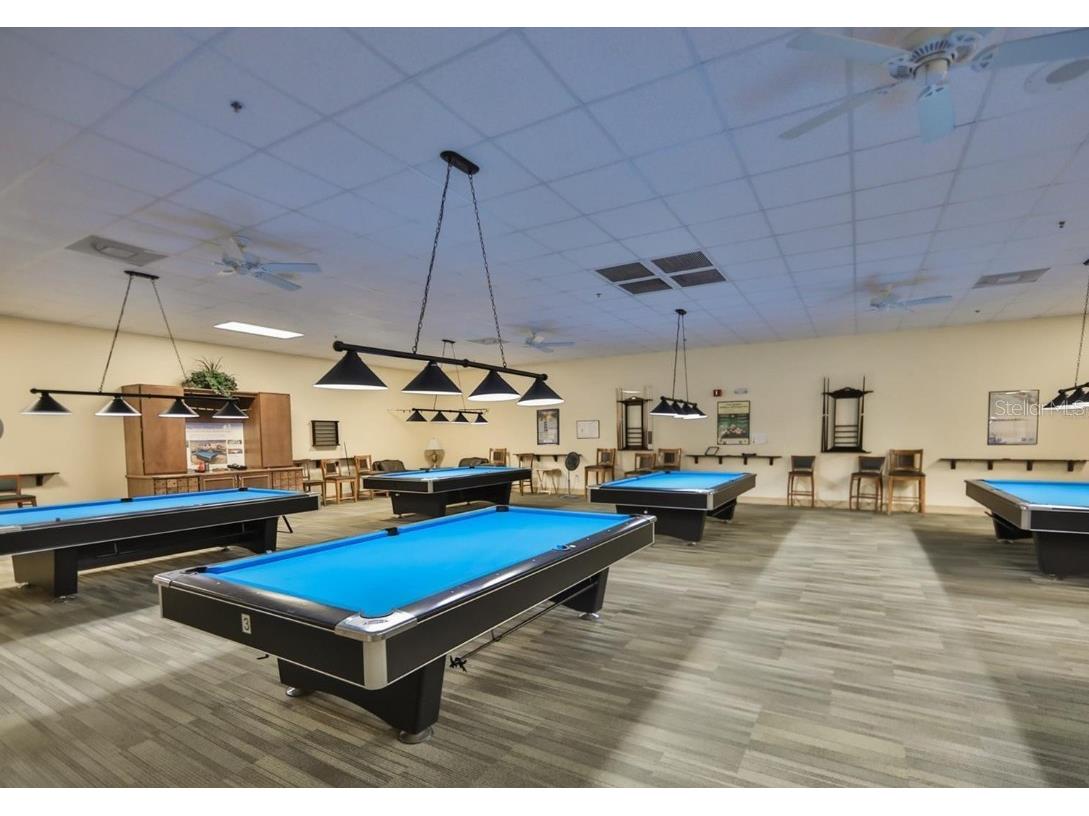 2014 Hampstead Circle Sun City Center FL 33573 TB8497174 image38