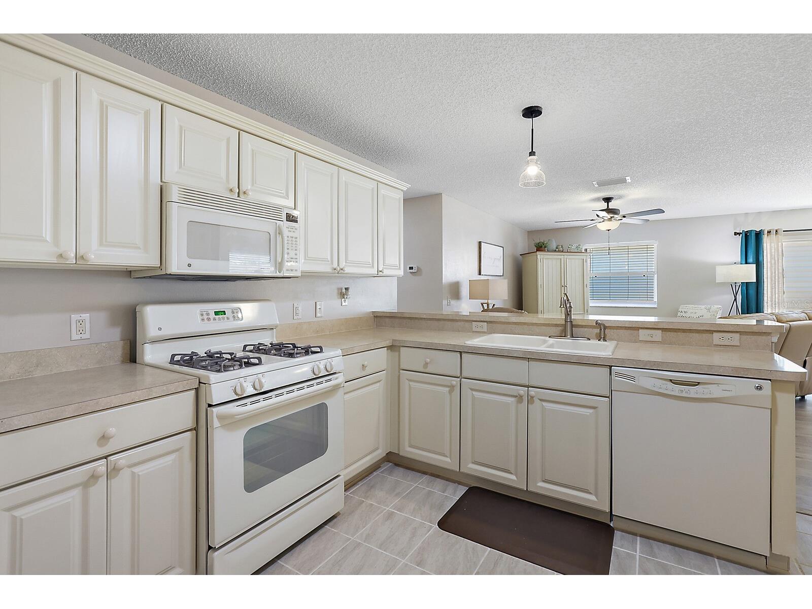 2014 Johnson Court The Villages FL 32162 G5110407 image7
