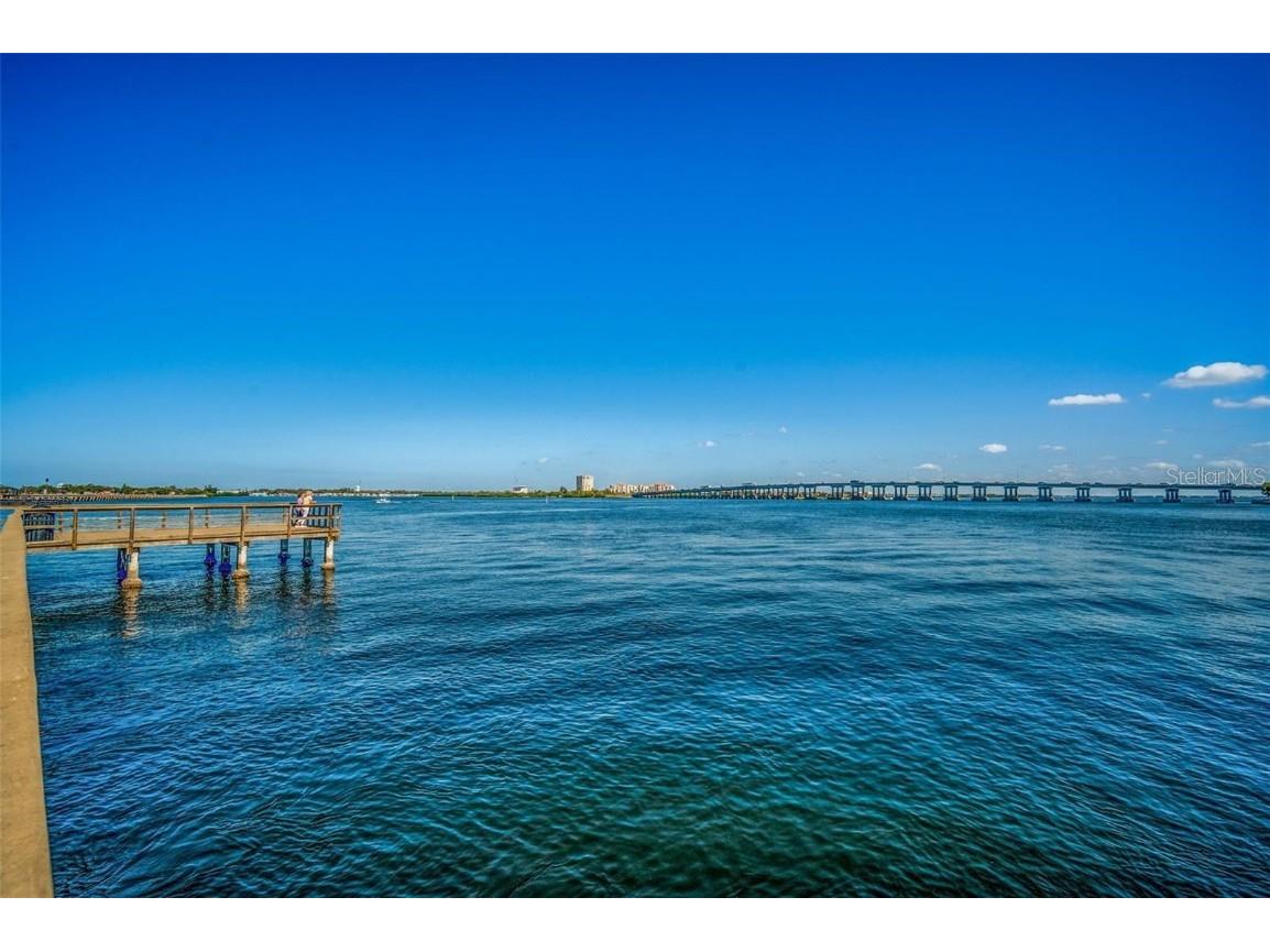 2014 Riverside Drive E Bradenton FL 34208 - MANATEE RIVER A4672794 image51