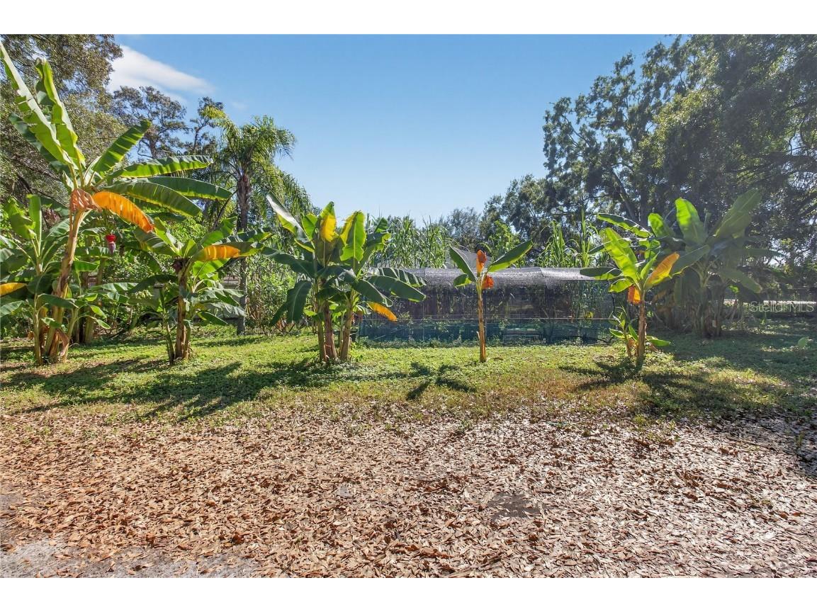 2014 S 58th St Tampa FL 33619 TB8441143 image16