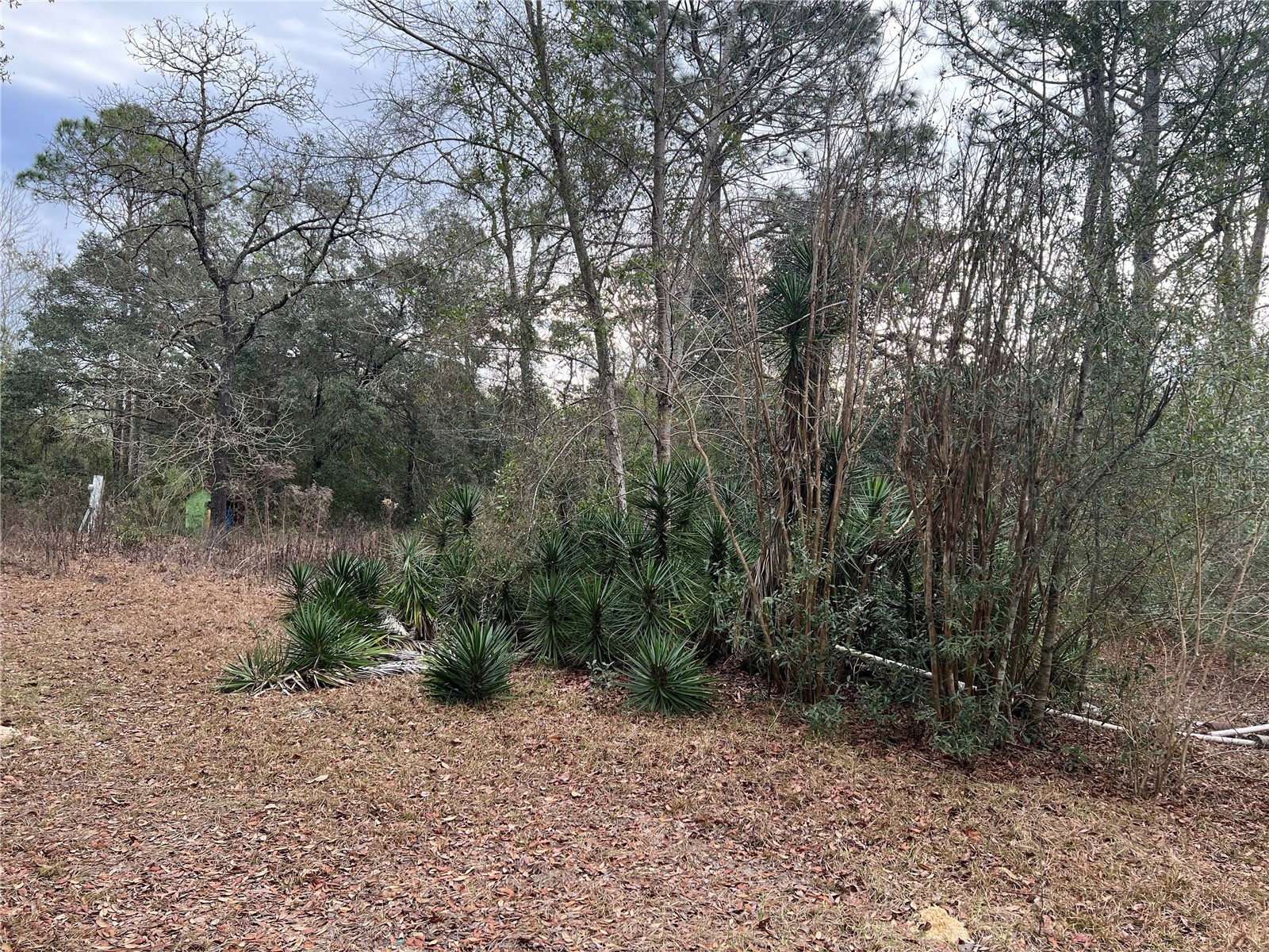 20140 NW 27th Street Morriston FL 32668 GC536980 image10