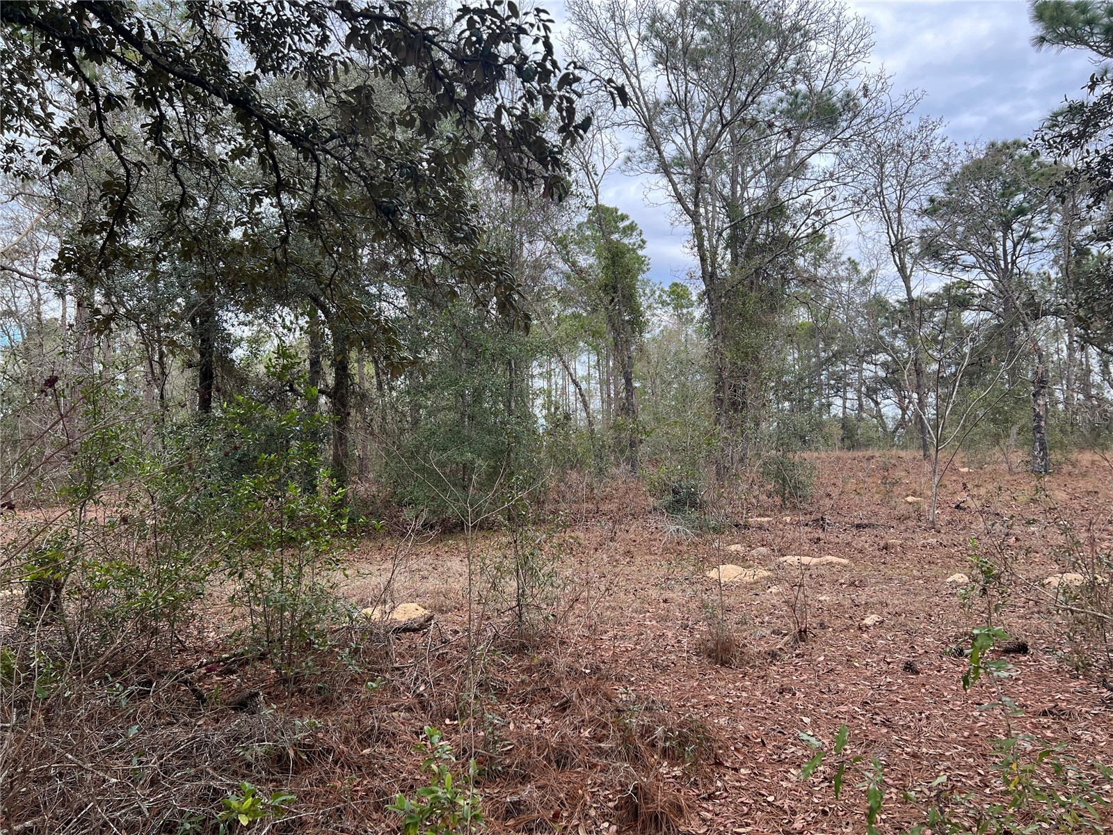 20140 NW 27th Street Morriston FL 32668 GC536980 image12