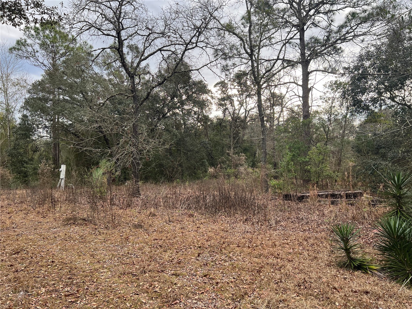 20140 NW 27th Street Morriston FL 32668 GC536980 image13