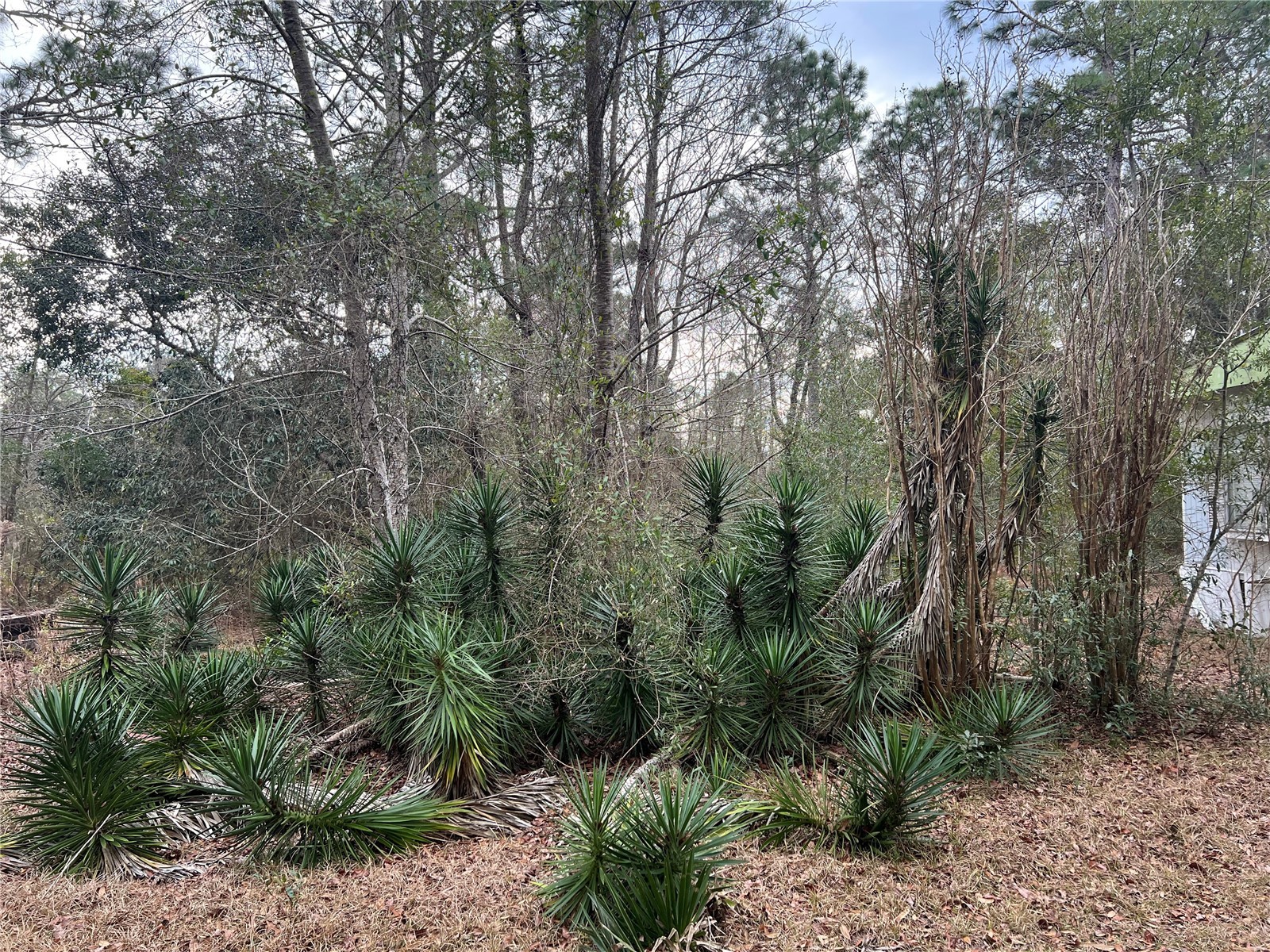 20140 NW 27th Street Morriston FL 32668 GC536980 image14