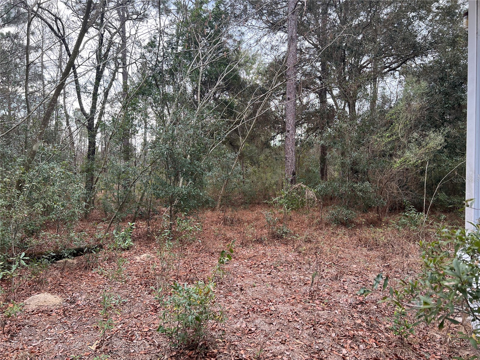 20140 NW 27th Street Morriston FL 32668 GC536980 image18