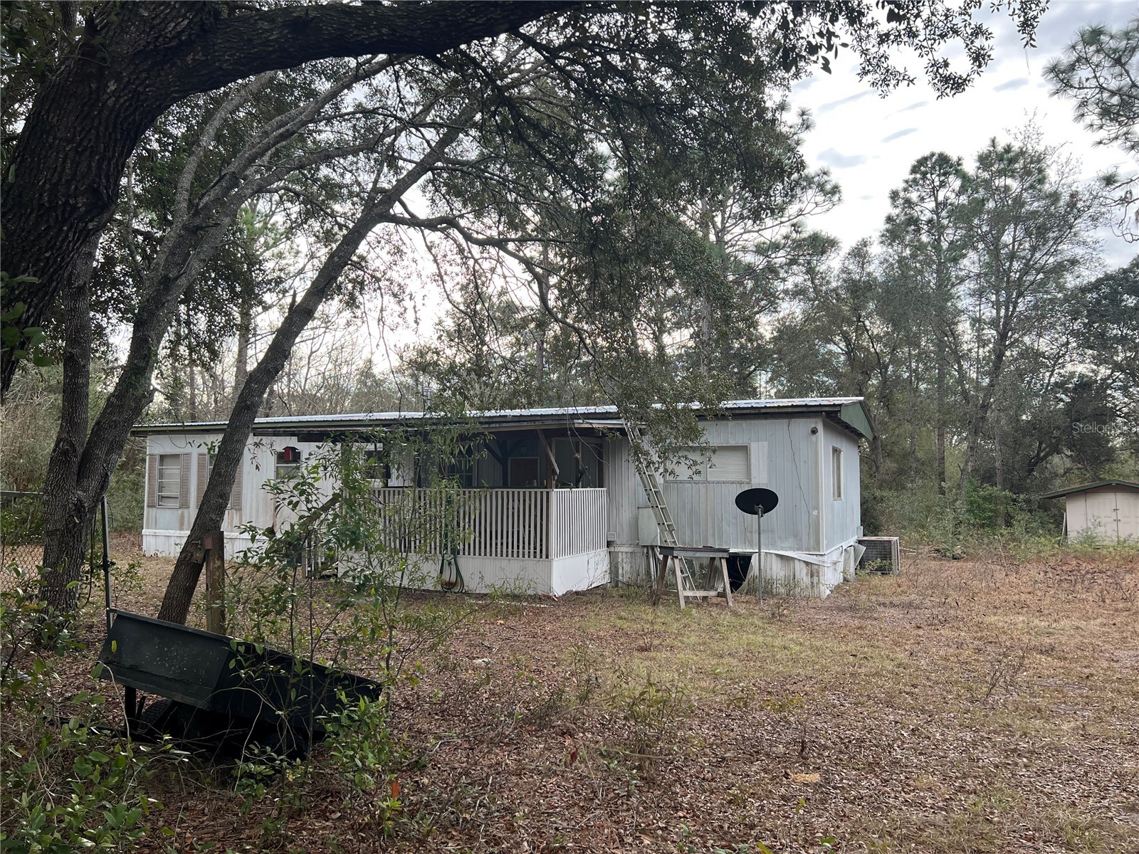 20140 NW 27th Street Morriston FL 32668 GC536980 image2