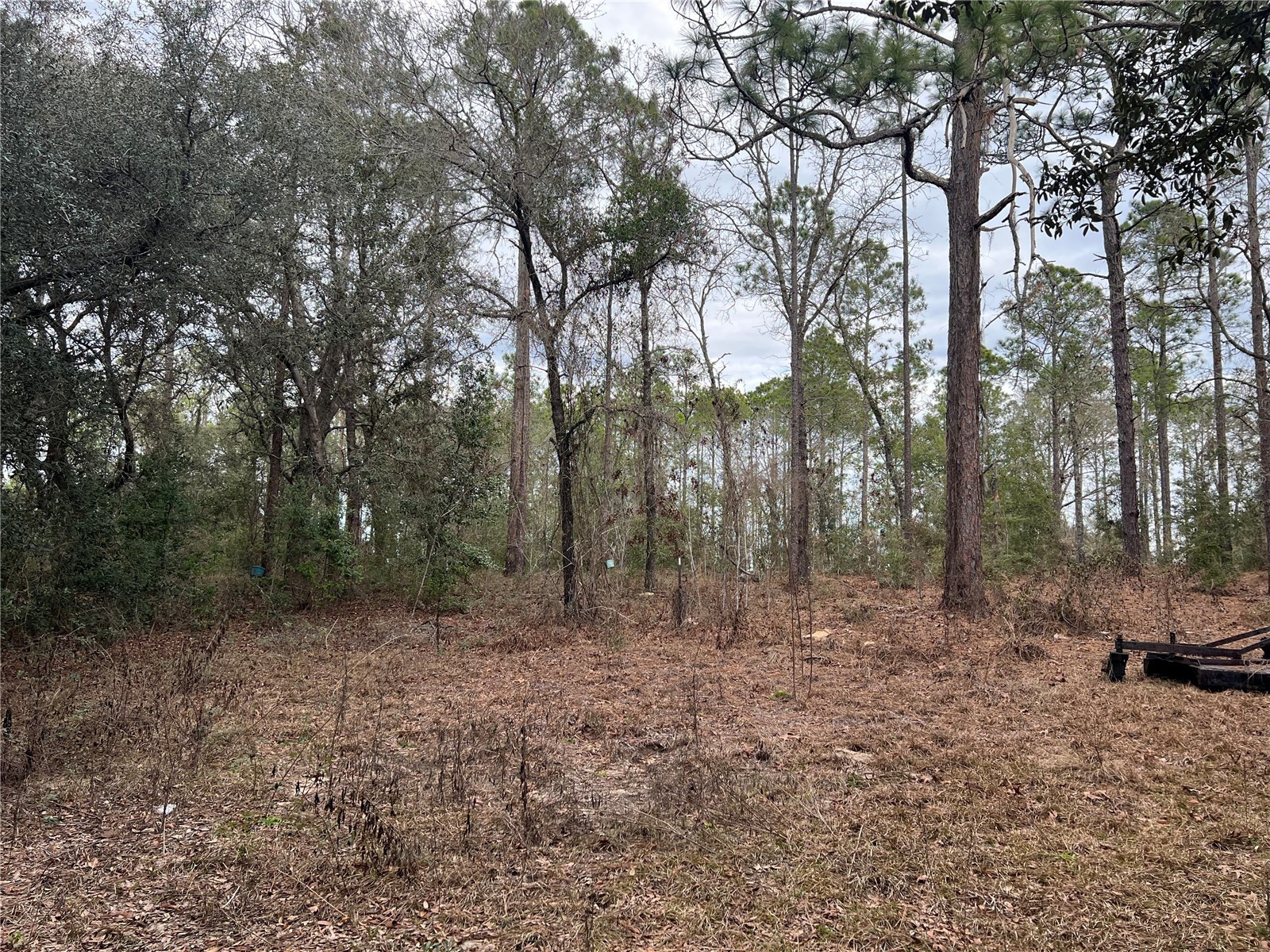 20140 NW 27th Street Morriston FL 32668 GC536980 image3