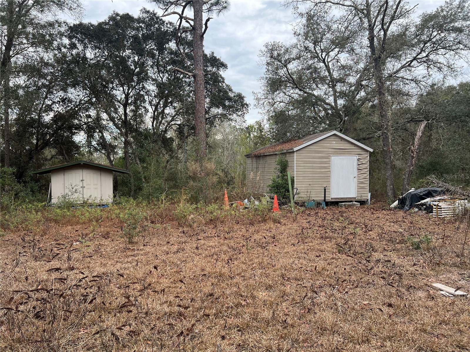 20140 NW 27th Street Morriston FL 32668 GC536980 image33