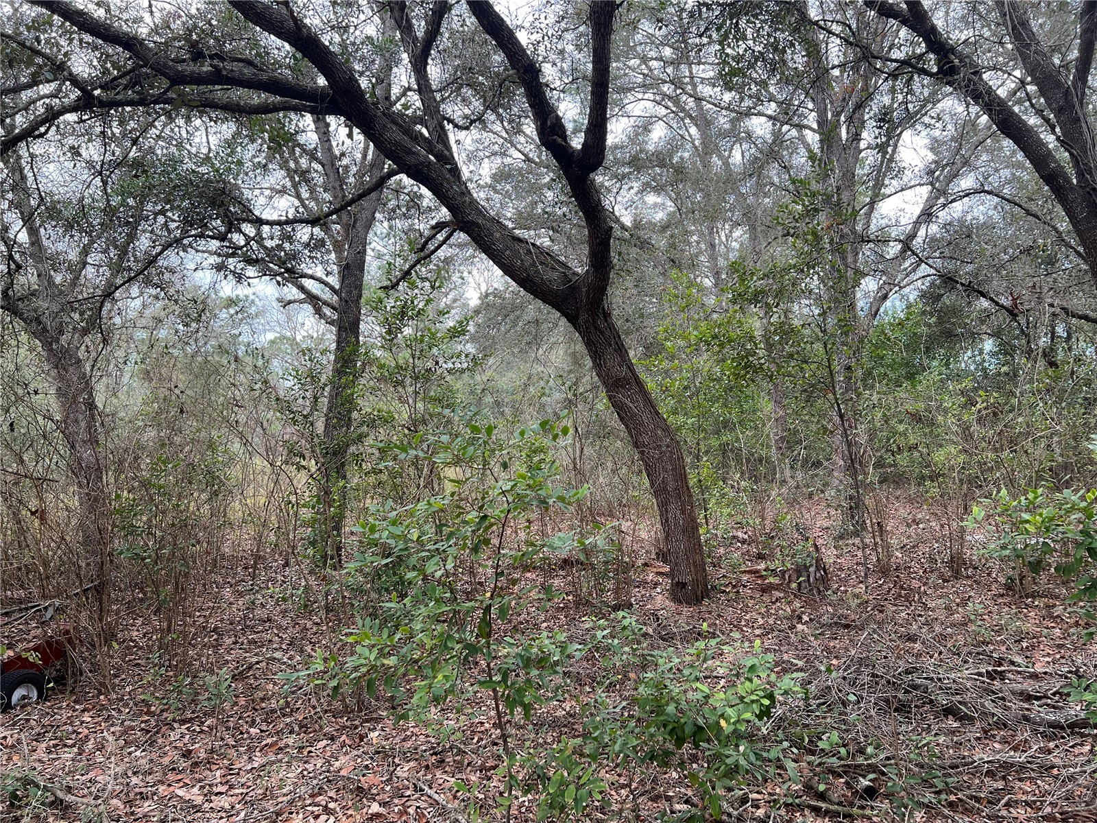 20140 NW 27th Street Morriston FL 32668 GC536980 image36