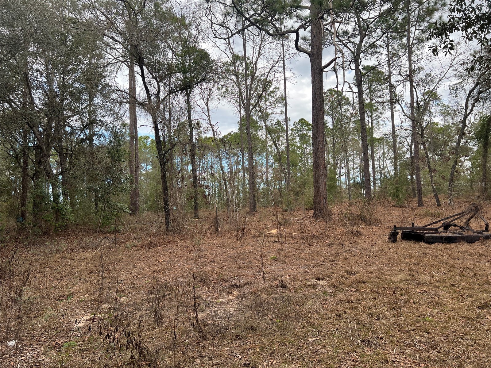 20140 NW 27th Street Morriston FL 32668 GC536980 image39