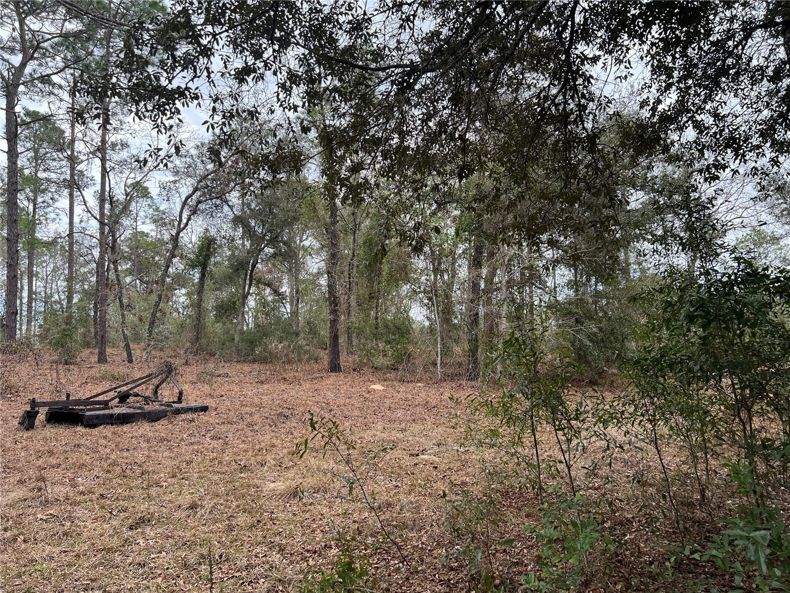 20140 NW 27th Street Morriston FL 32668 GC536980 image40