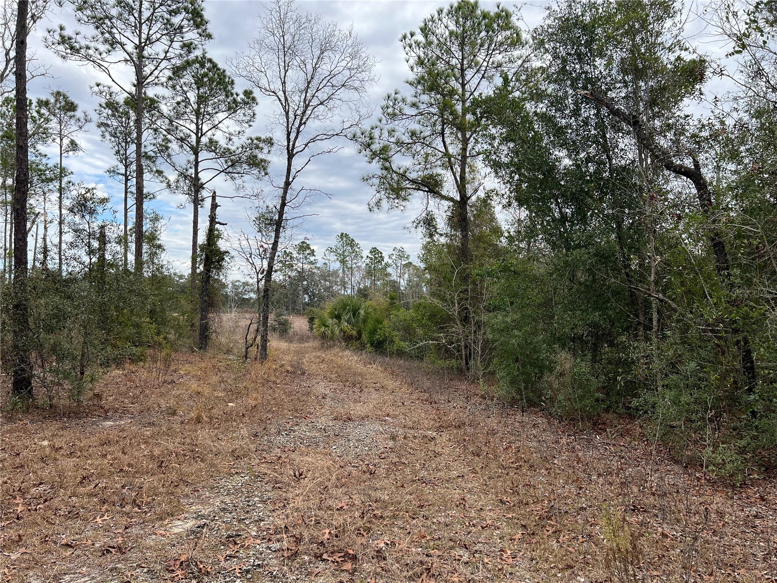 20140 NW 27th Street Morriston FL 32668 GC536980 image41