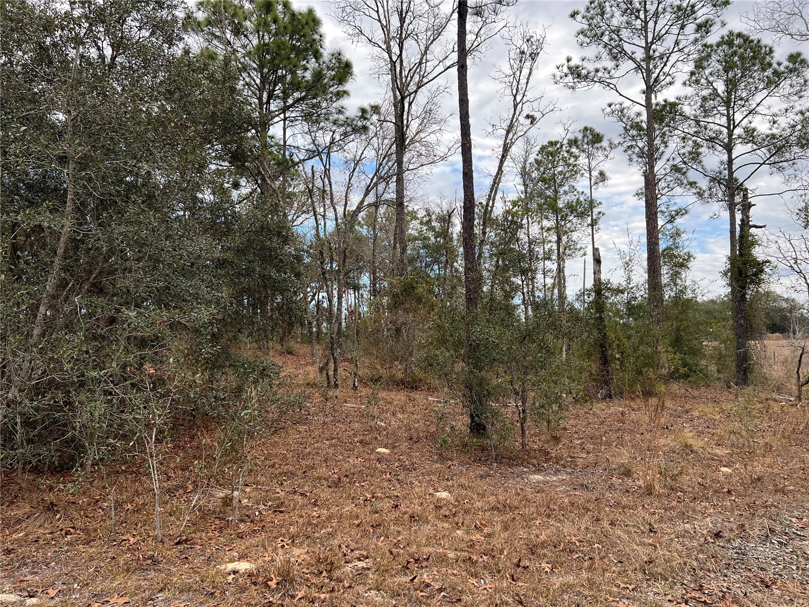 20140 NW 27th Street Morriston FL 32668 GC536980 image44