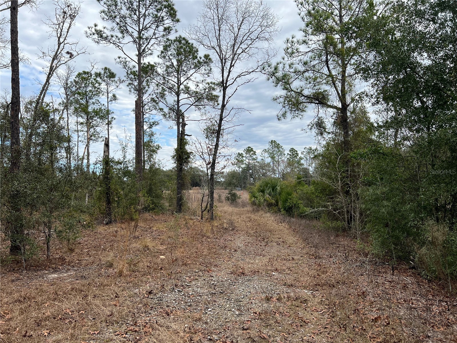 20140 NW 27th Street Morriston FL 32668 GC536980 image45