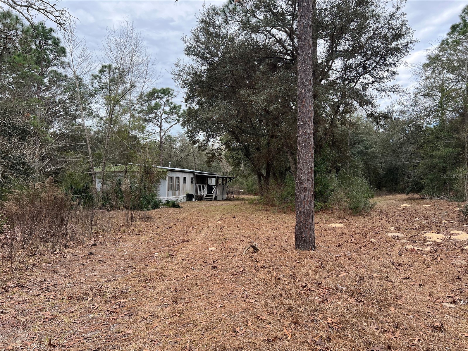 20140 NW 27th Street Morriston FL 32668 GC536980 image46