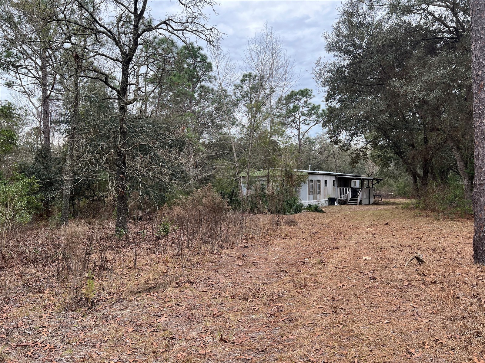 20140 NW 27th Street Morriston FL 32668 GC536980 image47