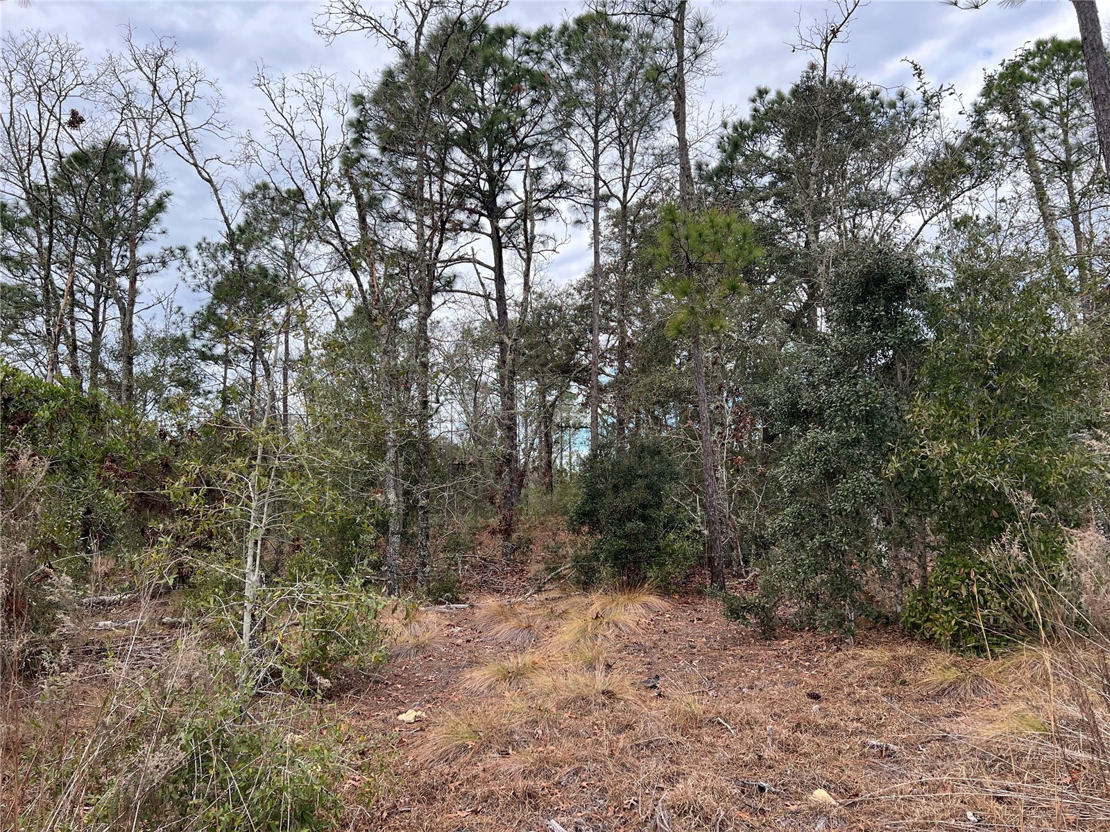 20140 NW 27th Street Morriston FL 32668 GC536980 image48