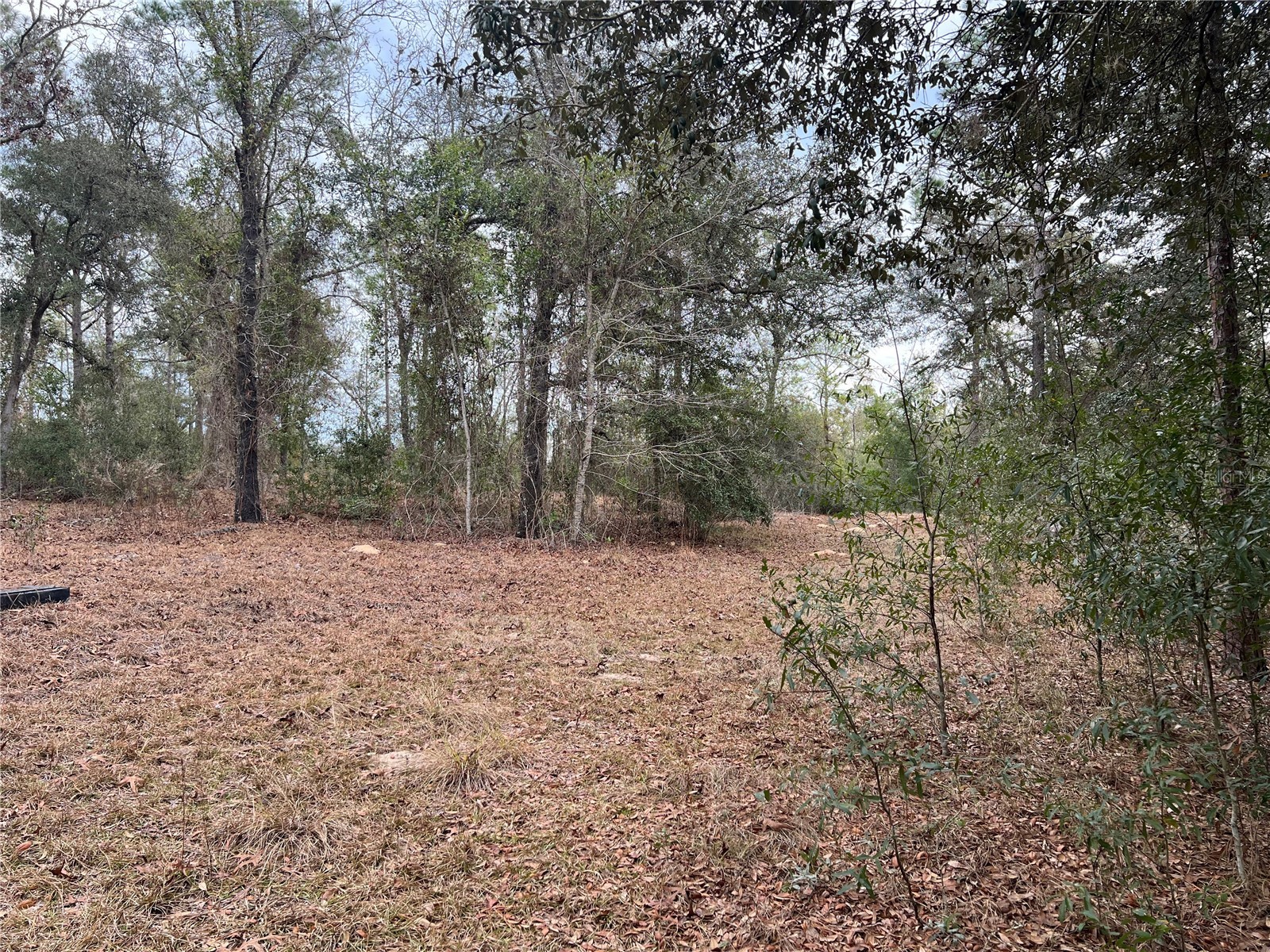 20140 NW 27th Street Morriston FL 32668 GC536980 image5