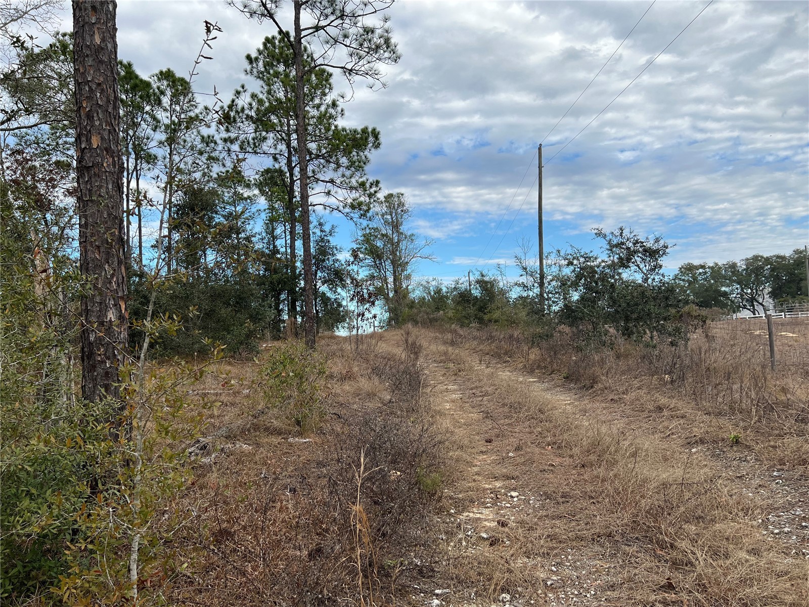 20140 NW 27th Street Morriston FL 32668 GC536980 image52