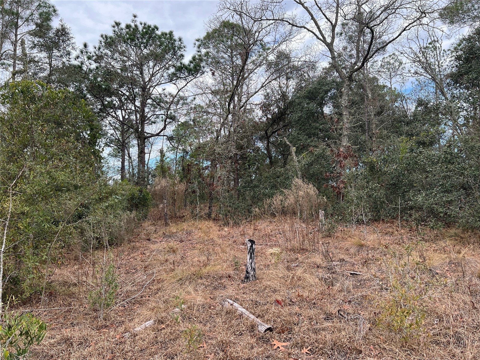 20140 NW 27th Street Morriston FL 32668 GC536980 image54