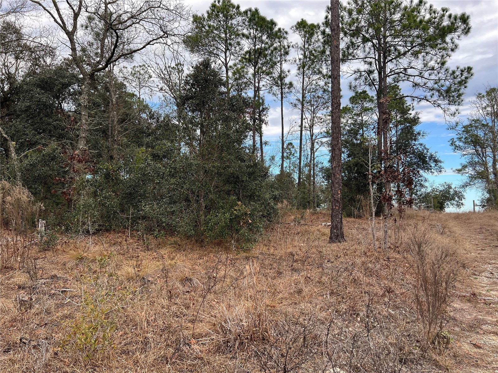 20140 NW 27th Street Morriston FL 32668 GC536980 image56