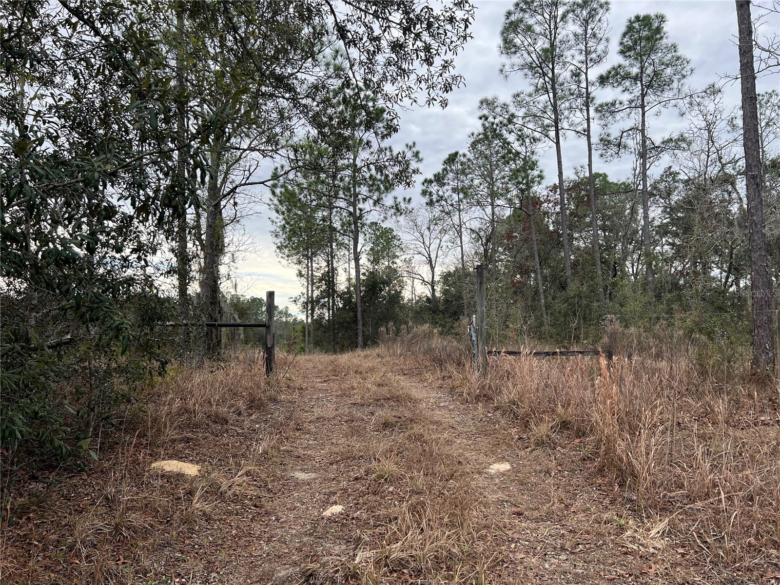 20140 NW 27th Street Morriston FL 32668 GC536980 image57