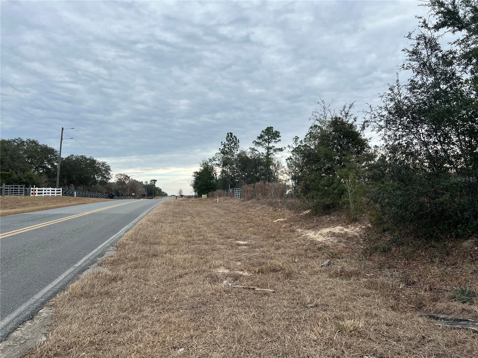 20140 NW 27th Street Morriston FL 32668 GC536980 image58