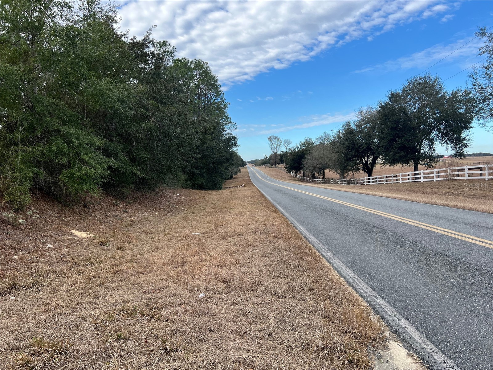 20140 NW 27th Street Morriston FL 32668 GC536980 image59