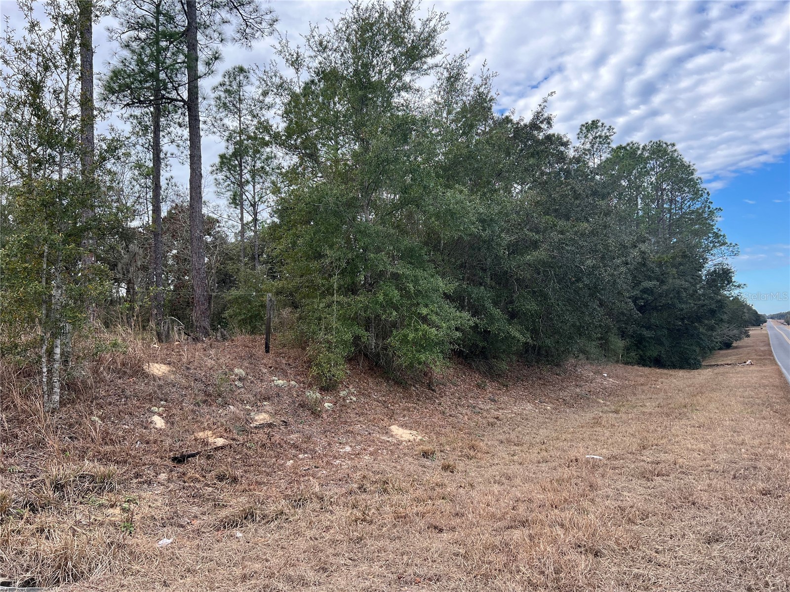 20140 NW 27th Street Morriston FL 32668 GC536980 image60