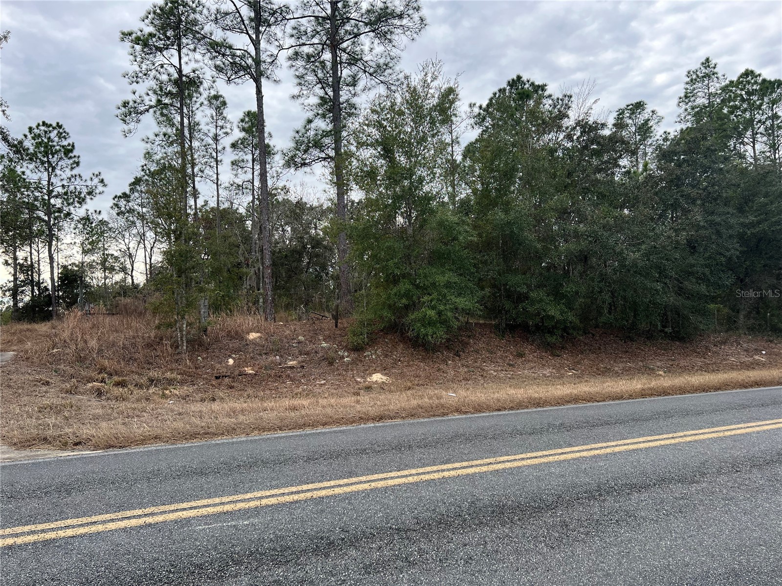 20140 NW 27th Street Morriston FL 32668 GC536980 image63