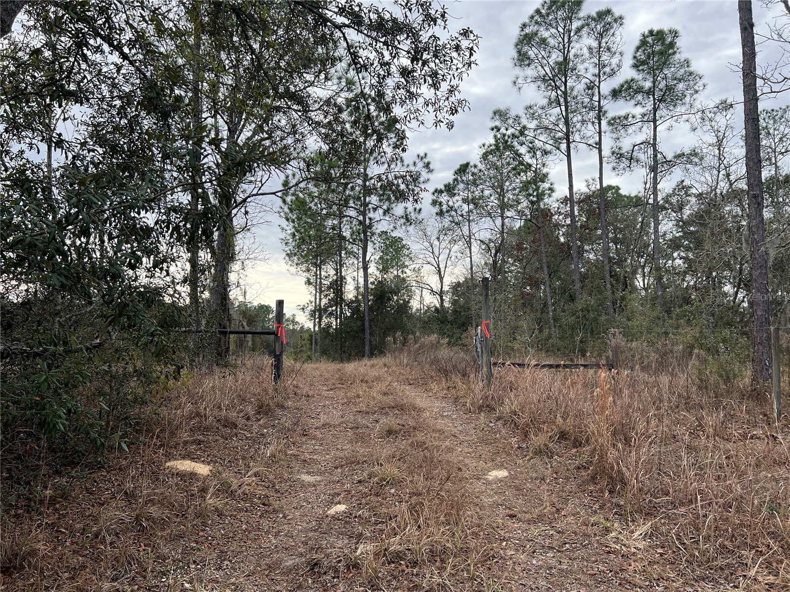 20140 NW 27th Street Morriston FL 32668 GC536980 image64