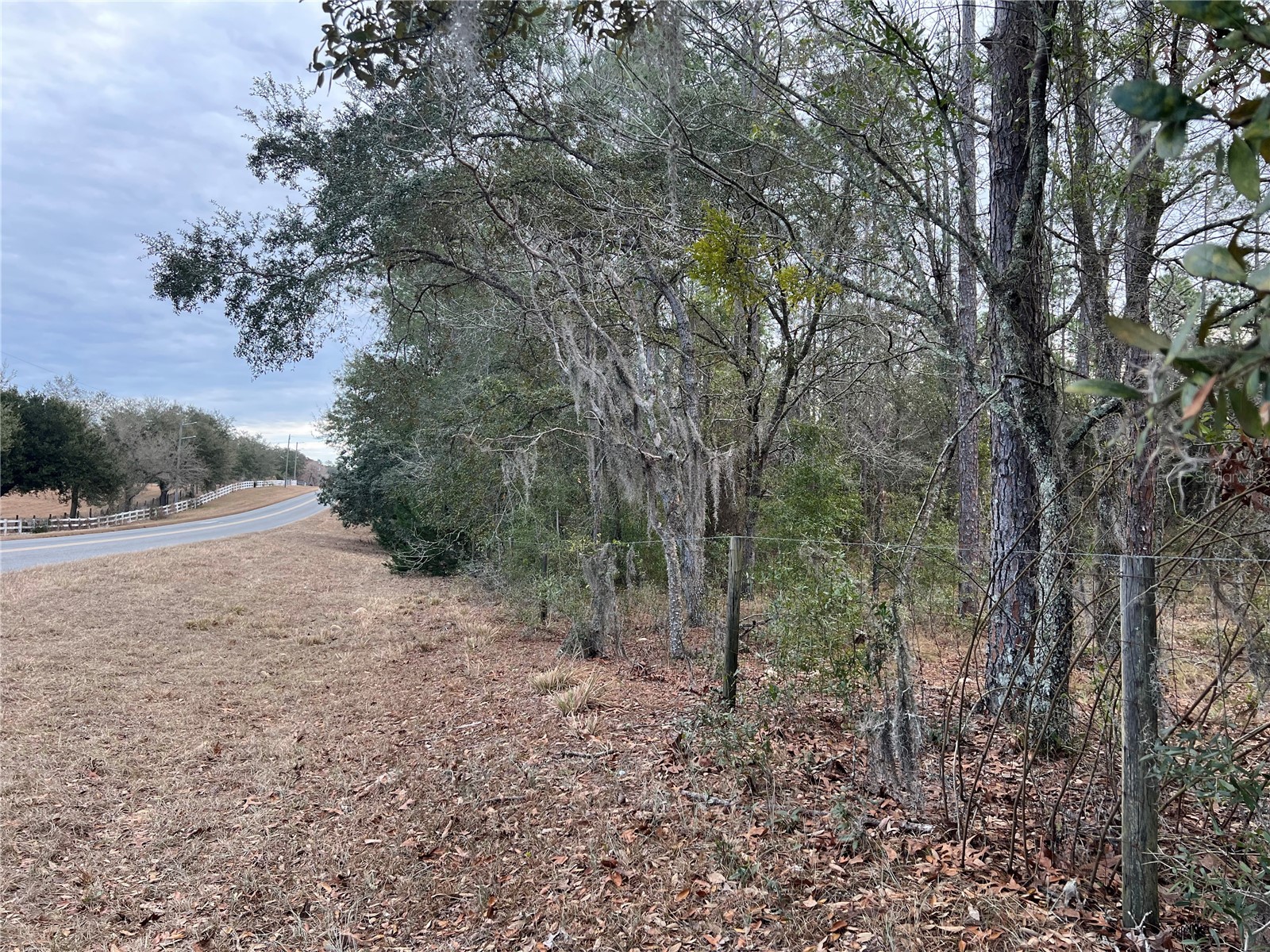 20140 NW 27th Street Morriston FL 32668 GC536980 image67