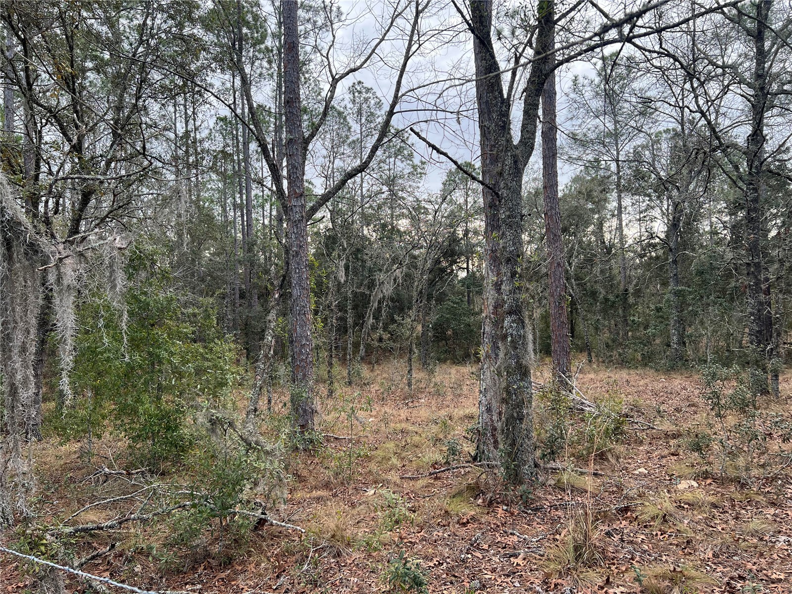 20140 NW 27th Street Morriston FL 32668 GC536980 image69