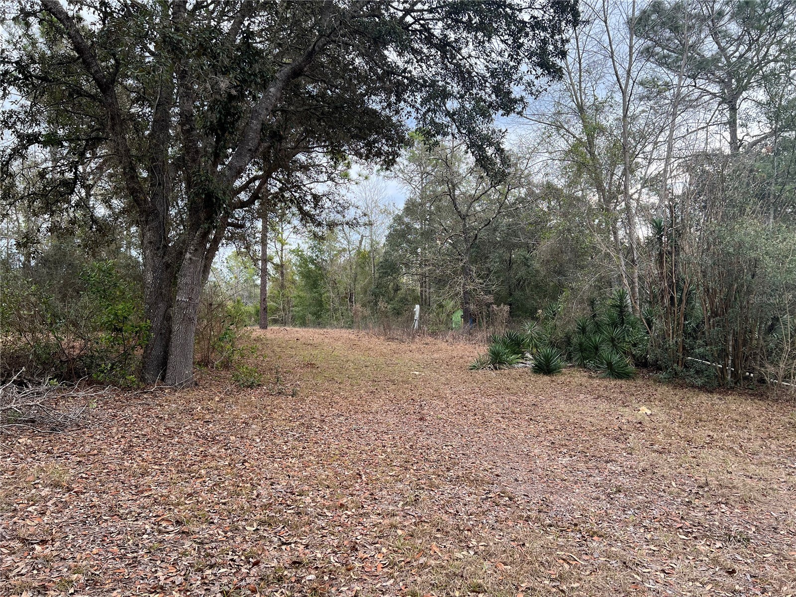 20140 NW 27th Street Morriston FL 32668 GC536980 image7