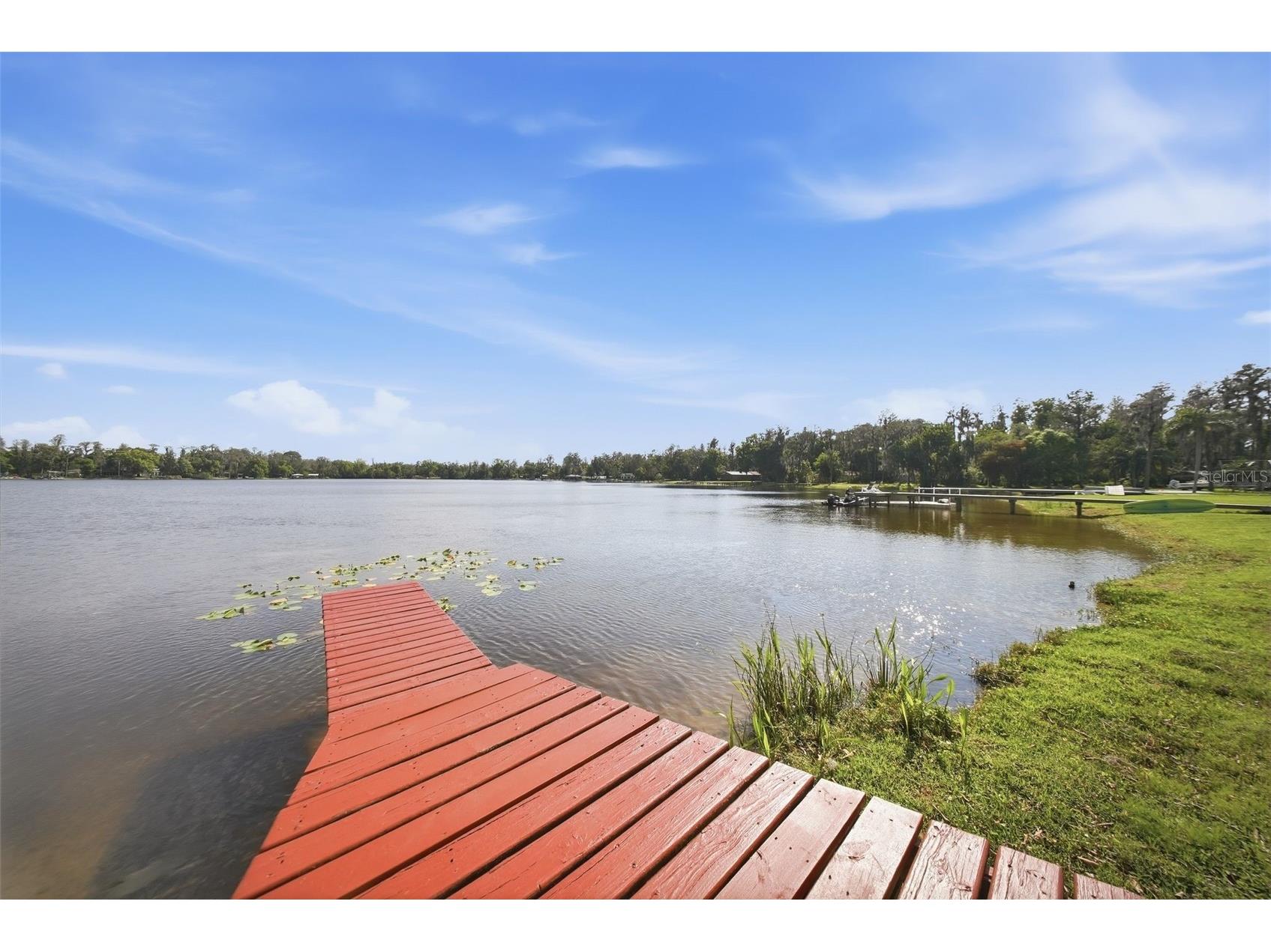 20140 W County Line Road Lutz FL 33558 - Browns Lake TB8492501 image2