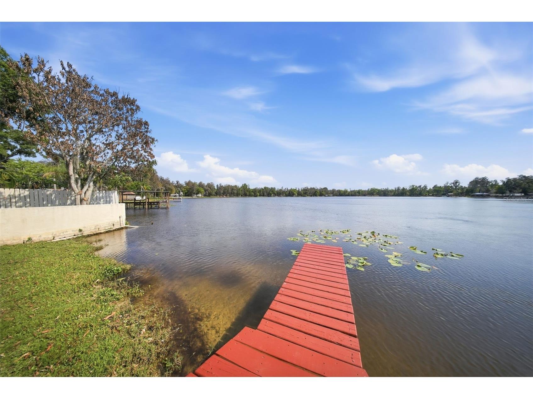 20140 W County Line Road Lutz FL 33558 - Browns Lake TB8492501 image46