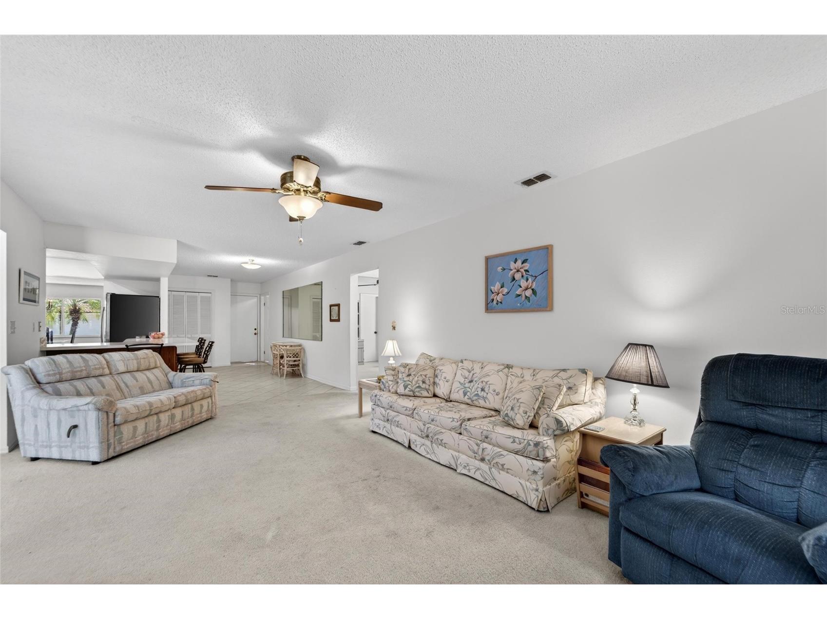 2015 Berry Roberts Drive Sun City Center FL 33573 TB8514790 image18